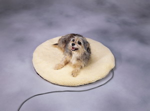 ȵ/pet heat mat/ȵ/ȴ